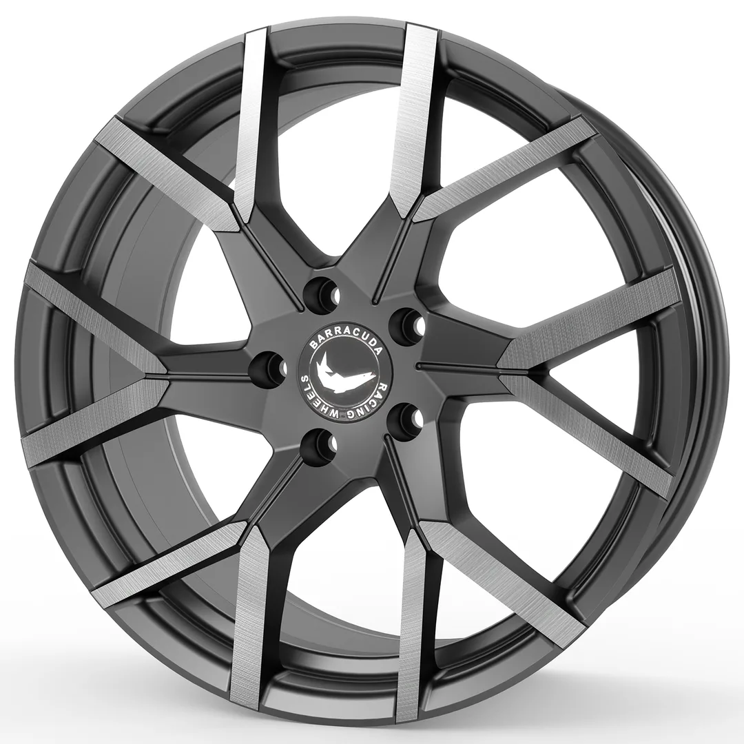 Barracuda Tzunamee Evo