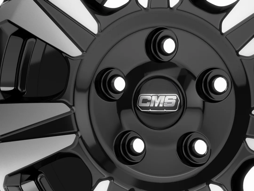CMS C31