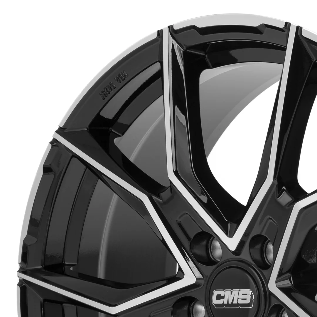 CMS C33