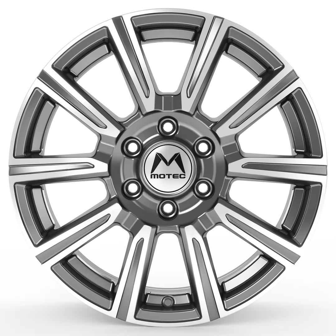 Motec WM1 Vantastic