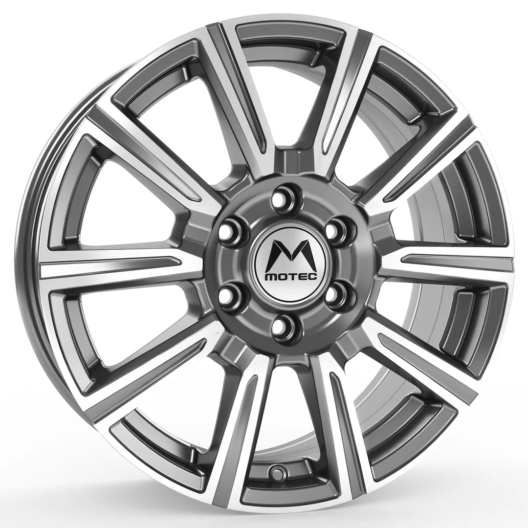 Motec WM1 Vantastic