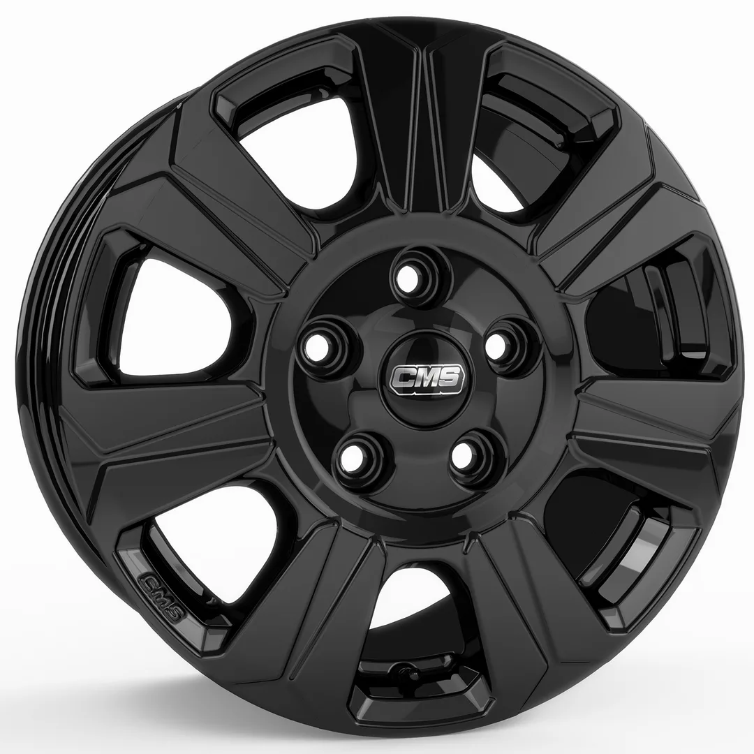 CMS C31