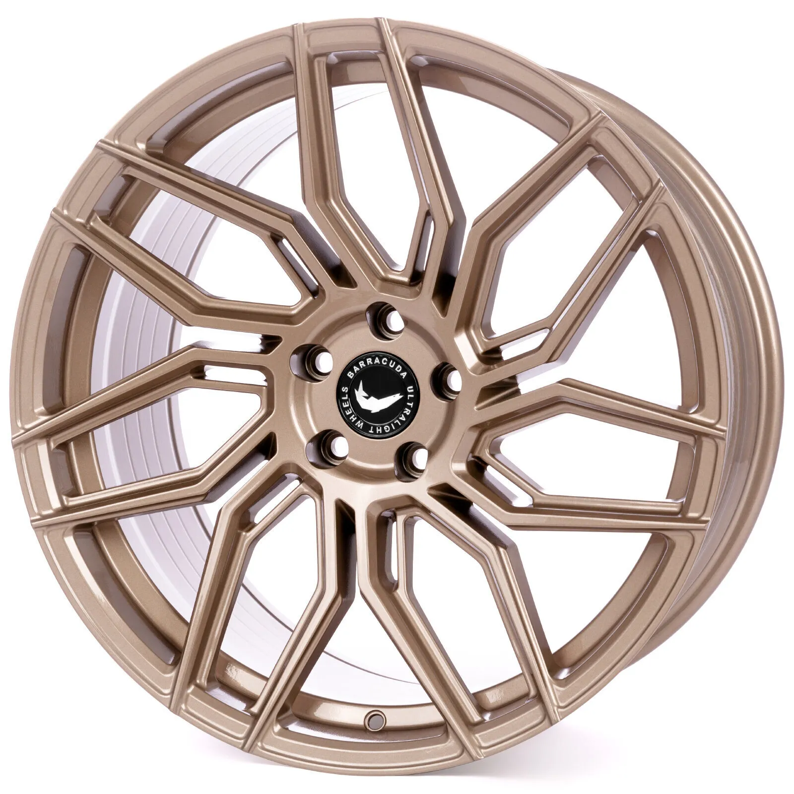 Barracuda Dragoon - Higloss-Bronze
