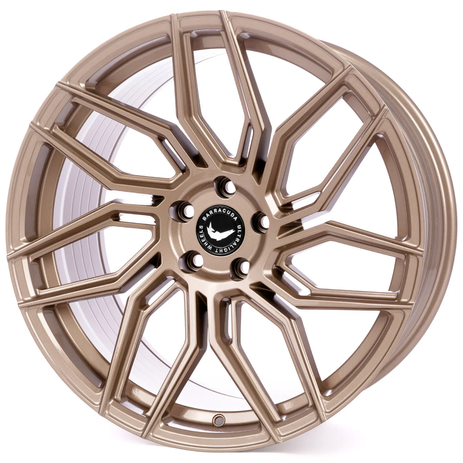 Barracuda Dragoon - Higloss-Bronze